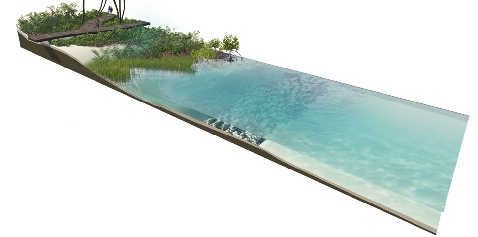 Digital rendering of a naturalized habitat shoreline with aquatic vegetation and habitat stone.