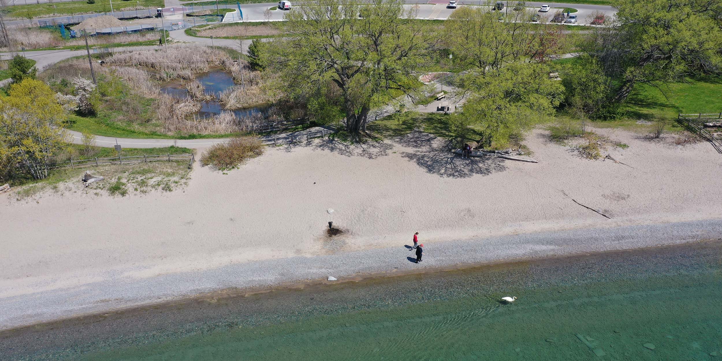 Aerial view of Paradise Beach taken from over Lake Ontario, with a parking lot and pond in the background. Two people are walking on the beach.