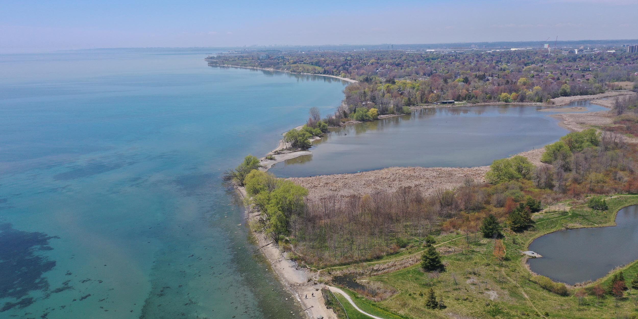 Aerial view of Carruthers Marsh and where it drains into Lake Ontario. There is a rocky beach on either side of a narrow marsh mouth with trees growing close to the shoreline. The marsh has a large open water area surrounded by marsh vegetation.