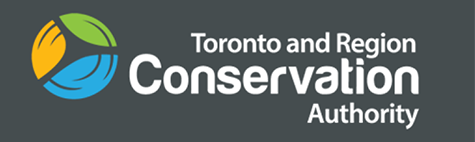 Toronto Island Park Flood and Erosion Mitigation Project